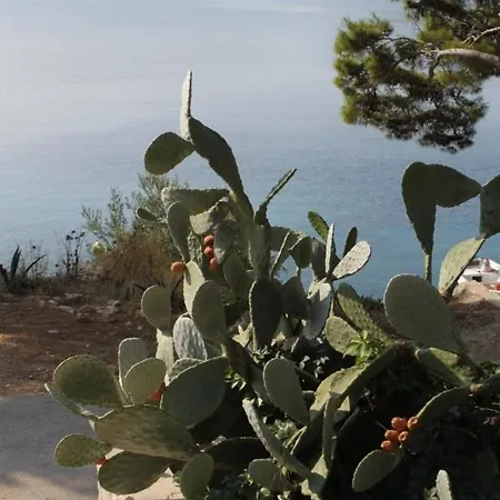 By The Sea Pasadur, - 8388 公寓 *